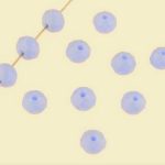 Hele sinakaslilla lihvitud rondell 4x3 mm 1 tk