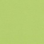 ScrapBerry’s tekstuurne kartong 12″x12″ 216 gsm SCB172063 Pistachio
